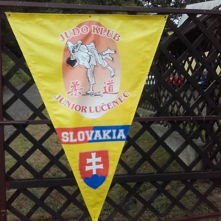 Turisticka Ubytovna Hotel Divin Bagian luar foto