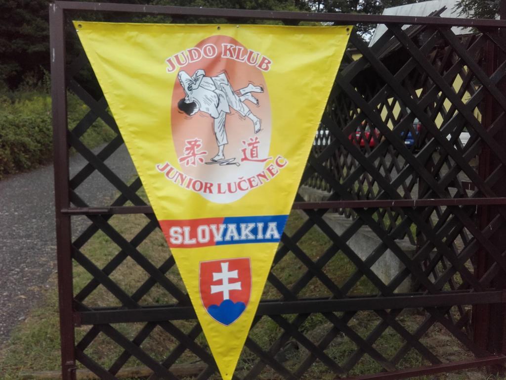 Turisticka Ubytovna Hotel Divin Bagian luar foto